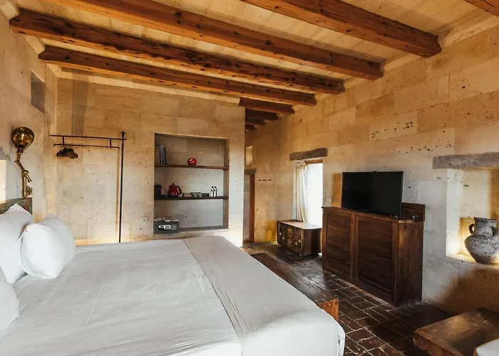 Hotel Millstone Cave 3*